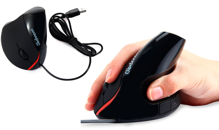 mouse