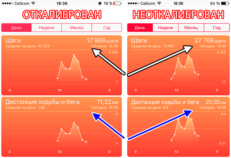stepmeter