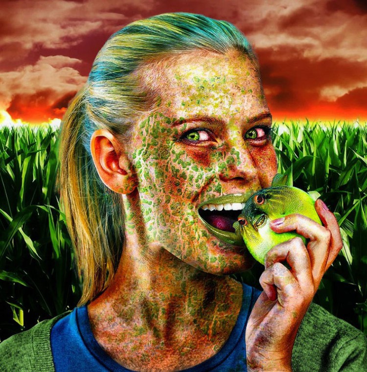 04-GMO-Discussion1