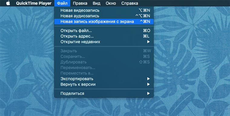 ScreenCaso_QuickTime_OS_X1