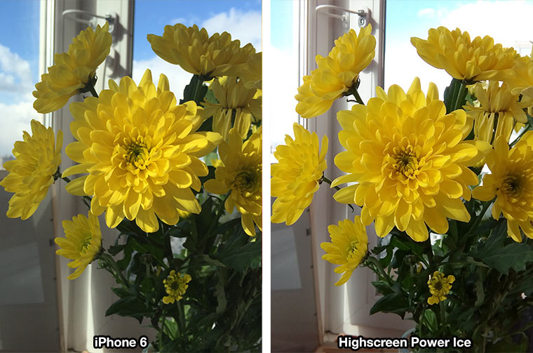 test-flower