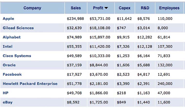 Apple_finansial_ratio
