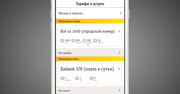 BeelinClientLTE_3