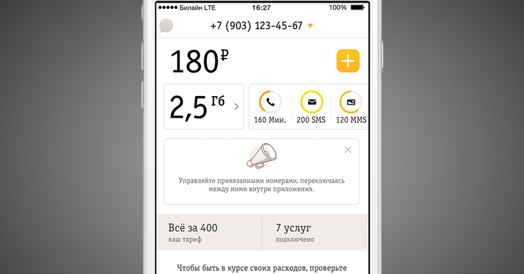 BeelinClientLTE_4