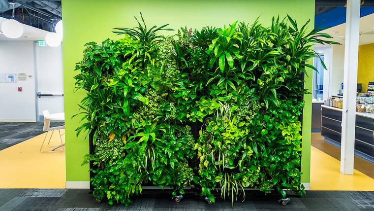 google_green