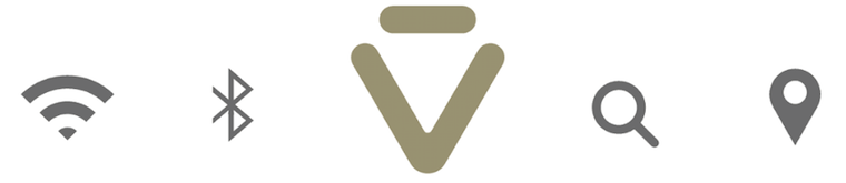 VIVPresent_2