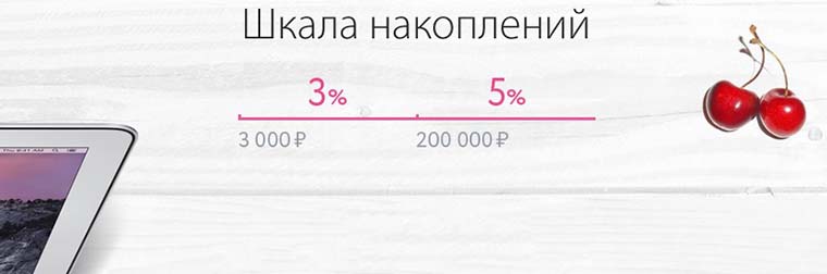 reStore_bonus_program_2