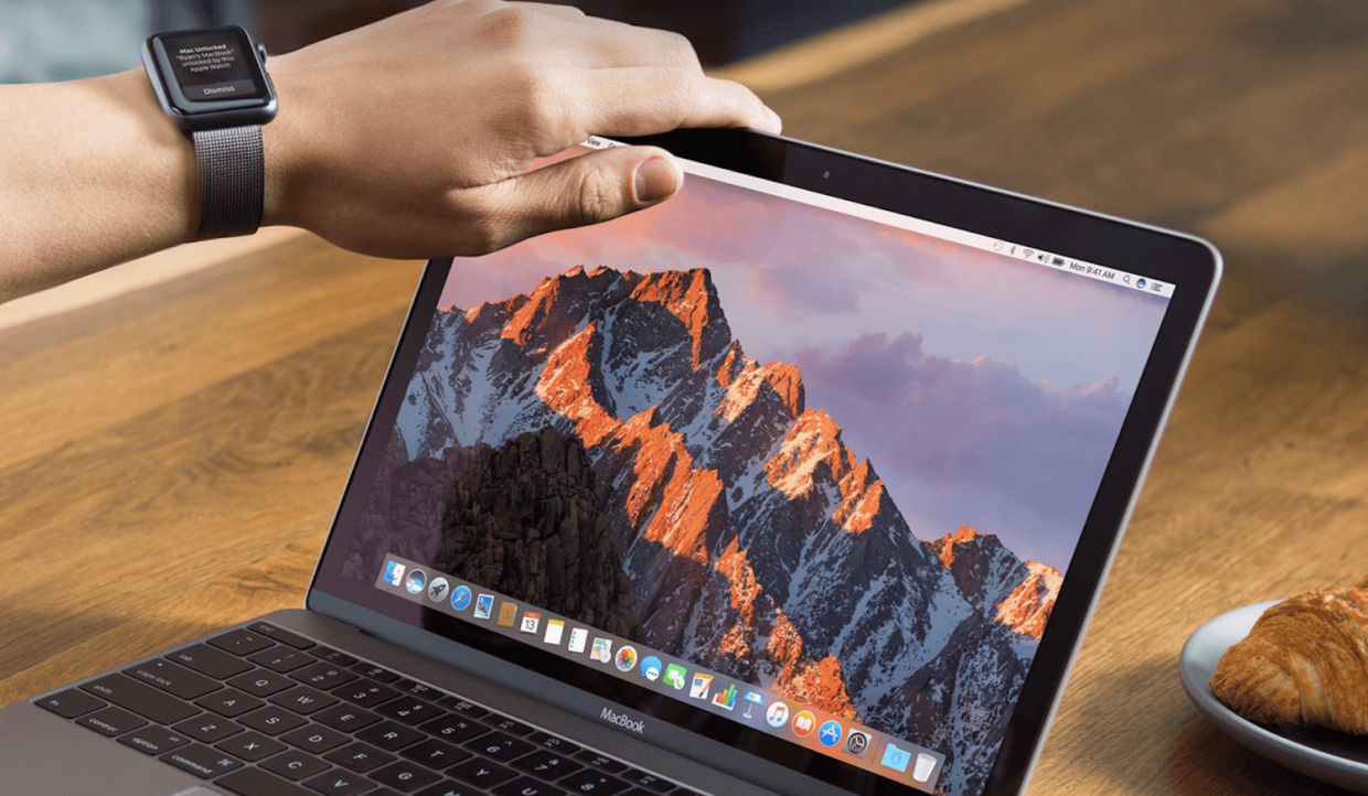 macOS Sierra блокирует плагин Flash