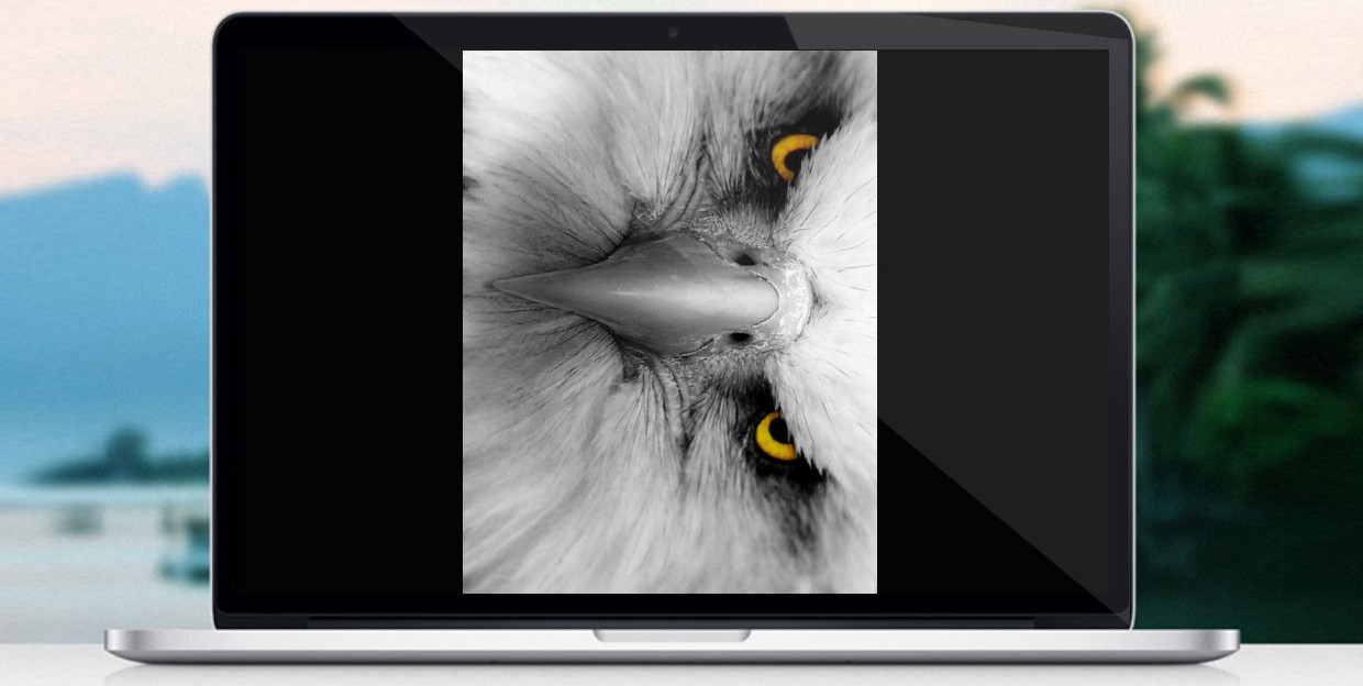 Как исправить «перевернутое видео» на Mac