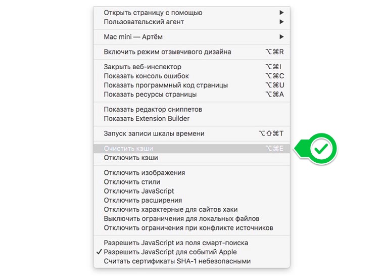 developer_mode_in_Safari_on_Mac_2