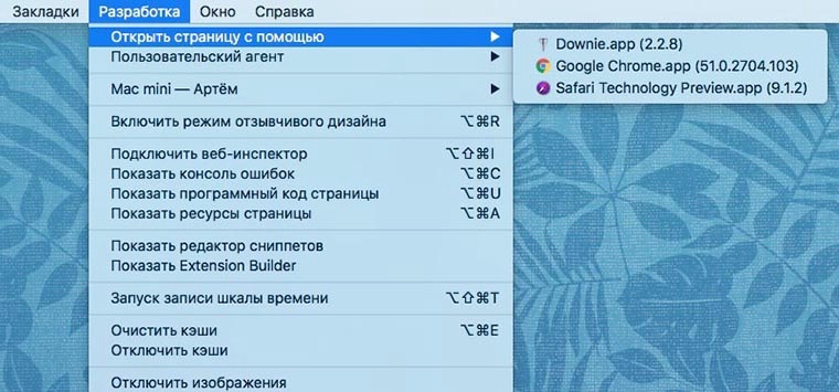developer_mode_in_Safari_on_Mac_6