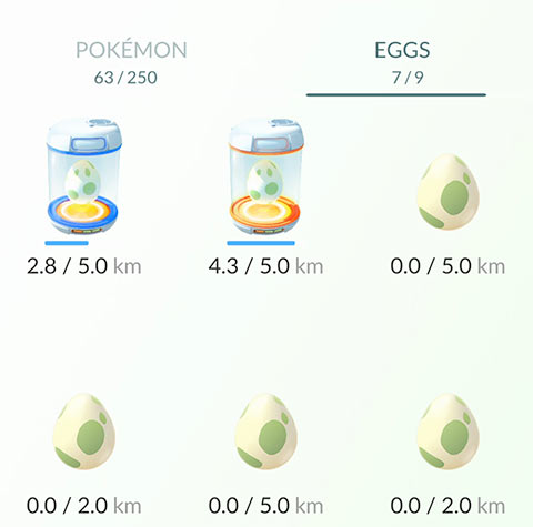 eggs