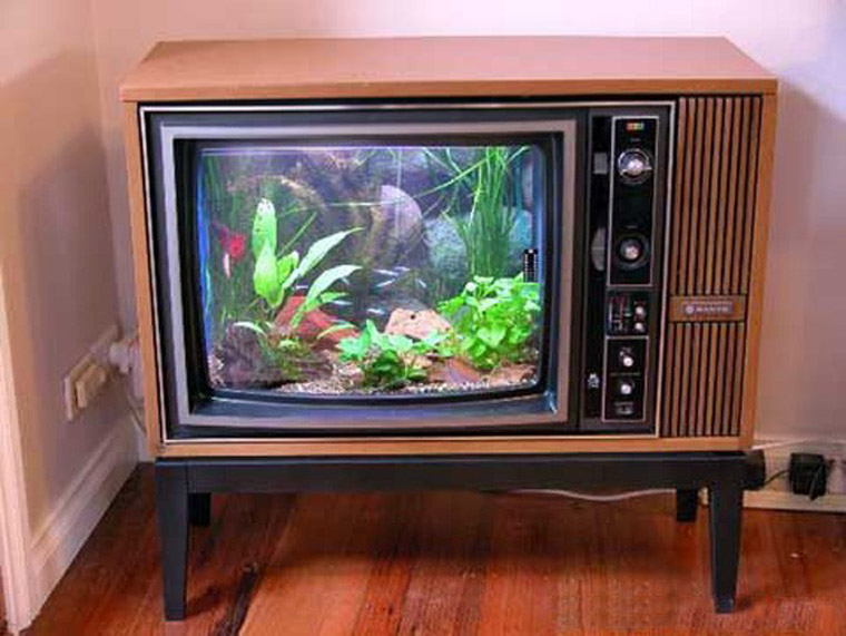 aquarium-tv_01