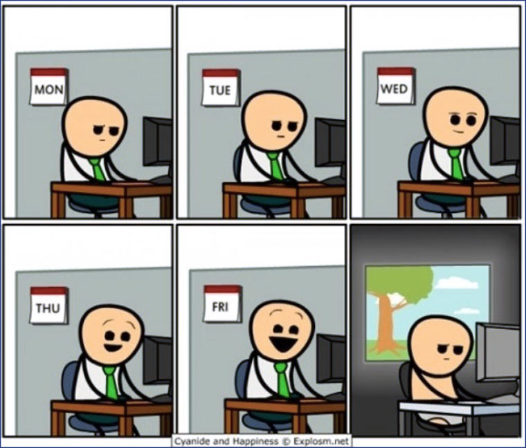 programmers_week