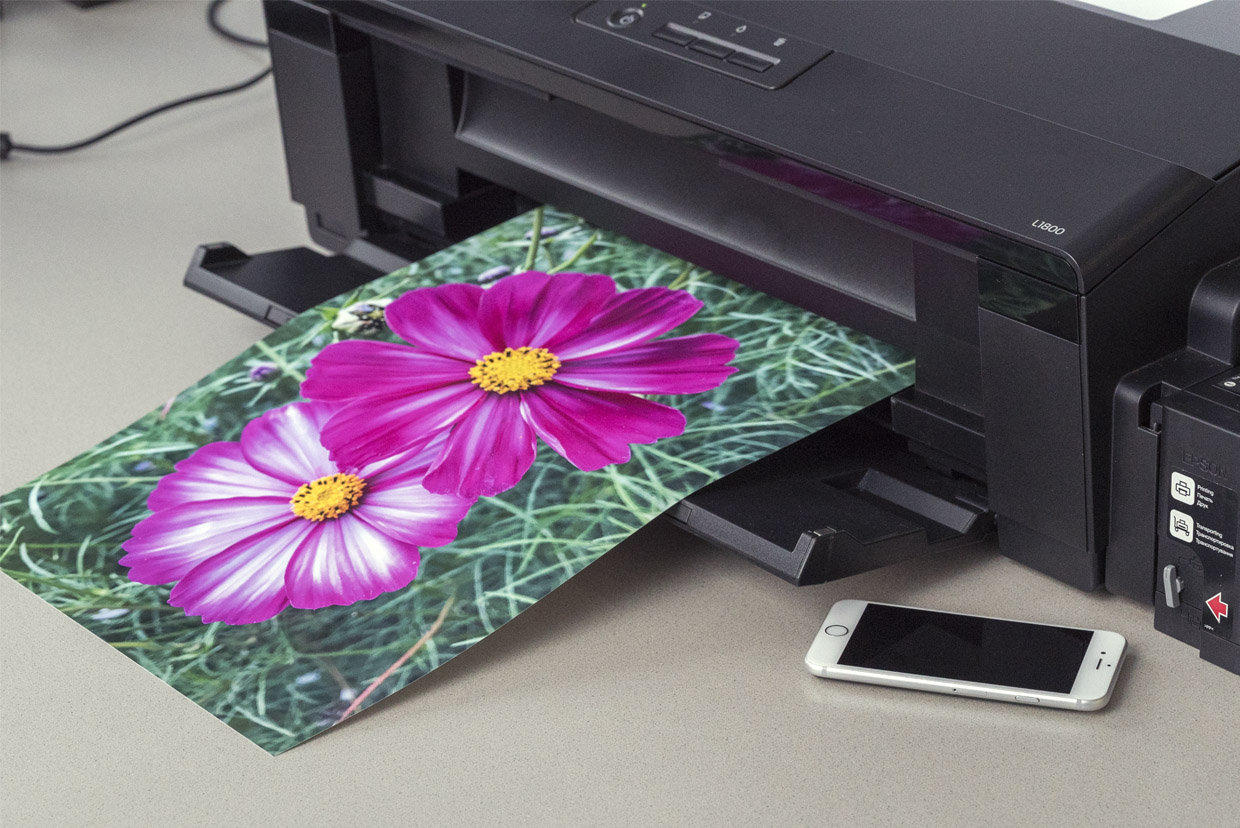 epson770