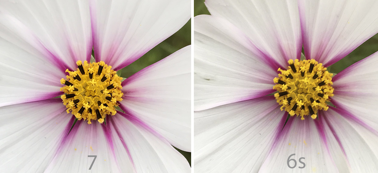 iphone-6s-7-6-crop