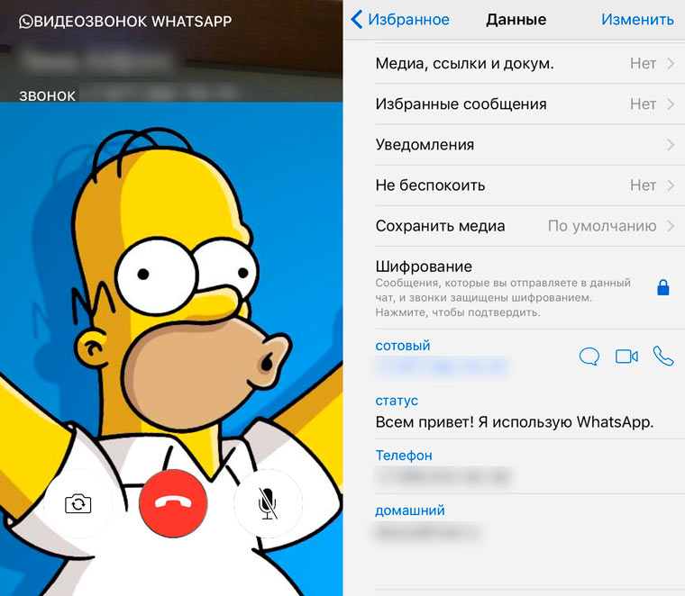 WhatsAppVidIn2