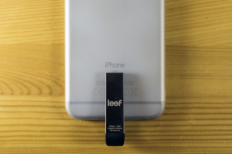 leaf-2