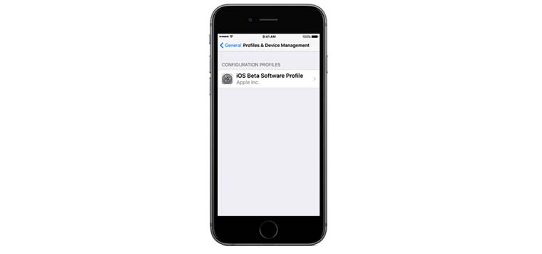 beta_ios_macos_program_01
