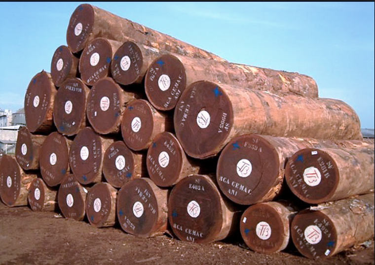 red_wood