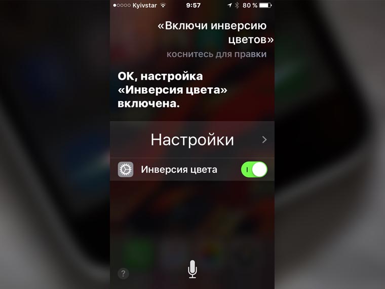 923 копия