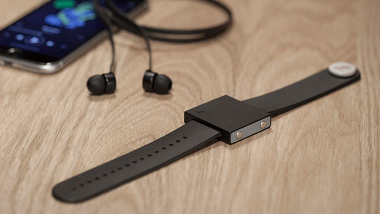 basslet