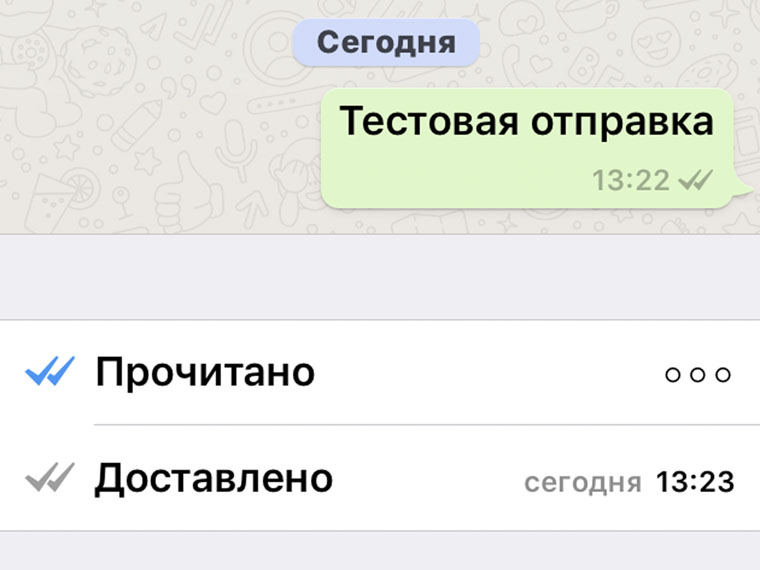 whatsapp-4