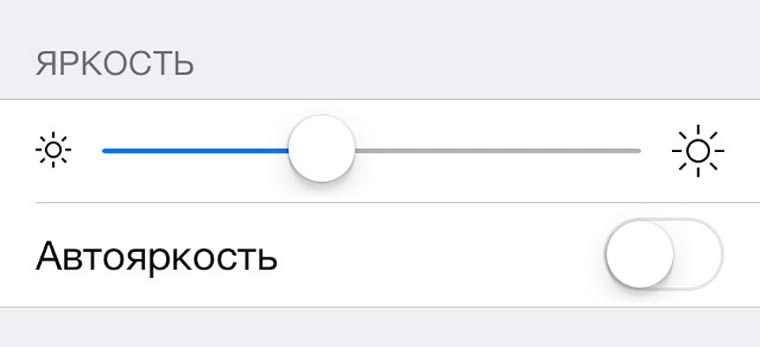 99445726