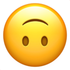 AA-13
