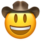 AA-30