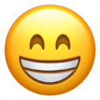 AA-4