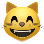 AA-89