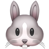 bb-5