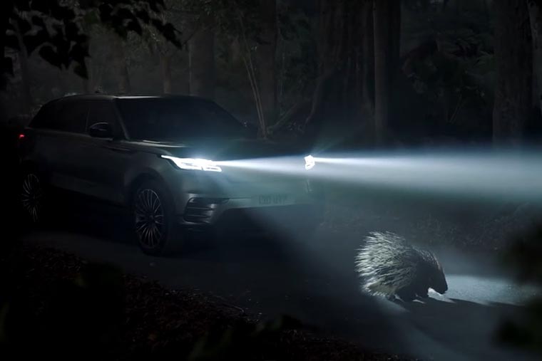 velar_img_26