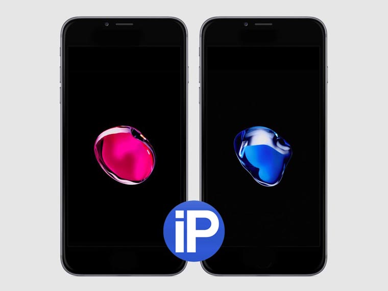 iphone-8-24-04-2017-1_1