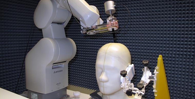 plastic-models-of-the-head