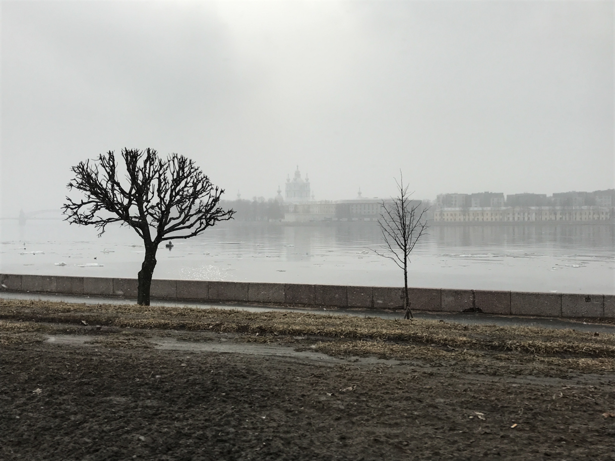 spb_2-44