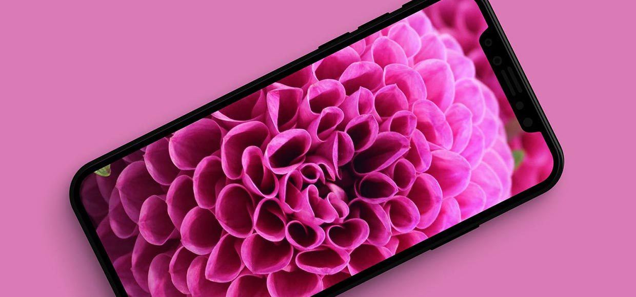 Что можно купить вместо максимальной версии iPhone X