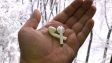 Как я неожиданно полюбил AirPods