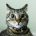 HitCat avatar