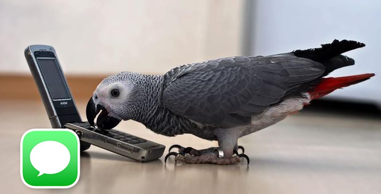 Как на iPhone настроить автоответчик на входящие сообщения