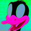 denrazzz avatar