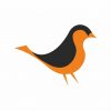sparrow avatar