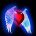 wita74 avatar