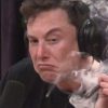 Musk avatar