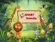 Как осуществить мечту и разработать приложение для iPad с нуля