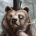 Lucky Bear avatar