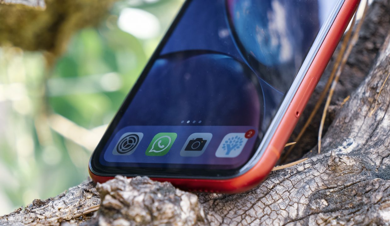 iPhone XR стал самым популярным смартфоном в мире в 2019 году