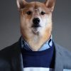 Danil avatar