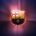 chy715 avatar